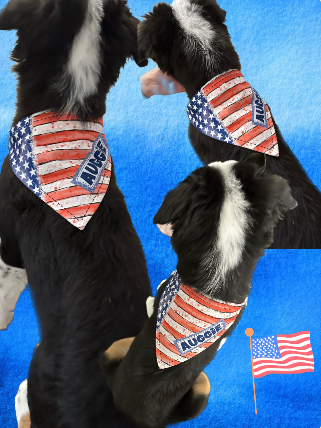 Patriotic Dog Bandana